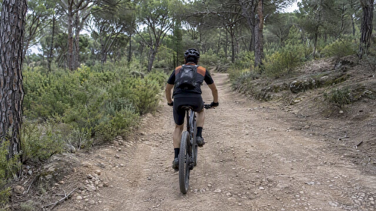 Rutas en bici por Madrid: itinerarios para cada nivel Ciclista atraviesa un camino de tierra en El Pardo